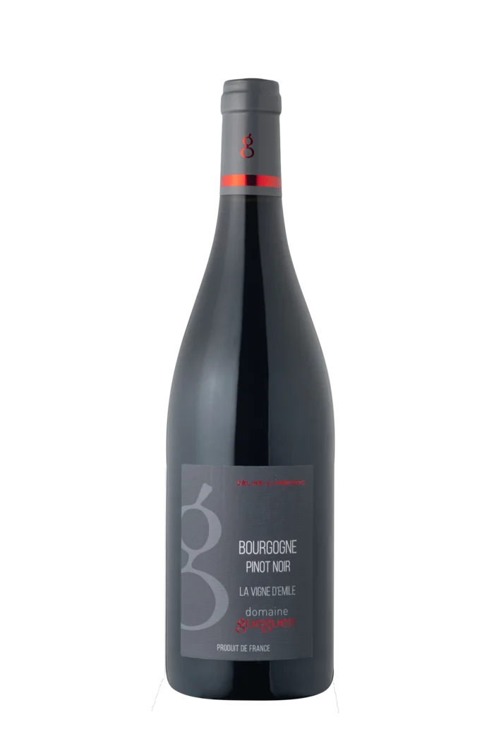 Bourgogne Pinot Noir La Vigne d’Émile — Domaine Céline & Frédéric Gueguen